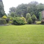 shaping shrubs 3/topiary, Combe