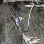 20150218_125623