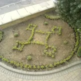 project/plants