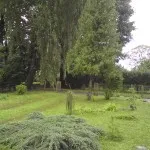 designe by plants and maintenance 2