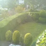 trimming hedge 3/shaping shrubs/bushes