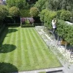 Trimming and prunning - live 1