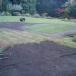 lawn repair and maintenance, Wimbledon common/park