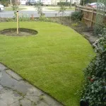 lawn after turfing 1