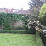 maintenance/shaping 2, Fulham